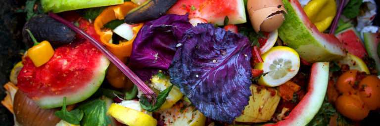 food waste solutions