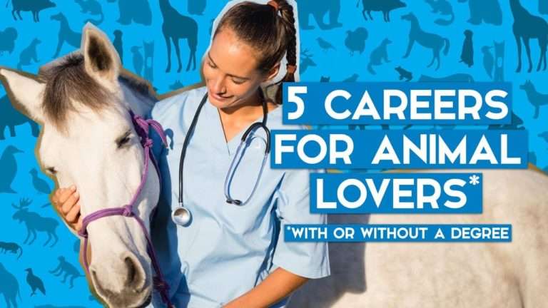 Jobs working with animals