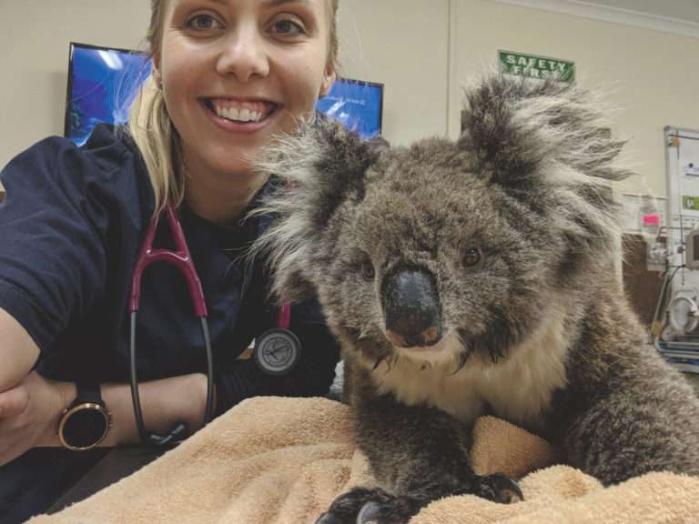 Veterinarian - Hannah Passmore