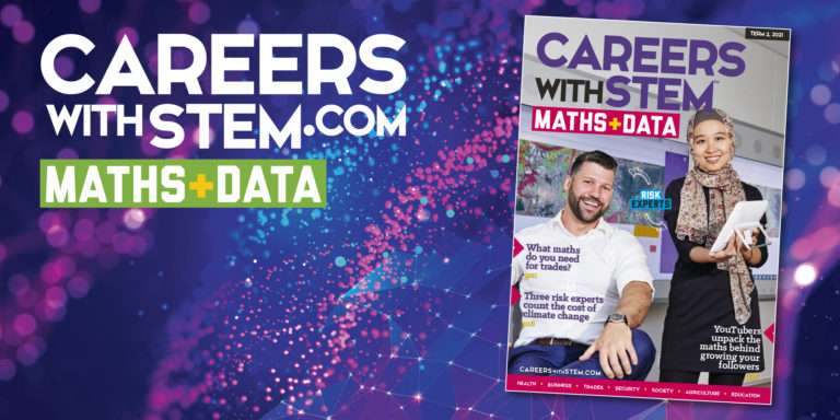 Maths and Data issue flyer