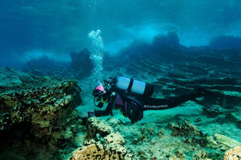 Ocean careers
