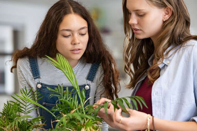 Environmental-Themed Quizzes