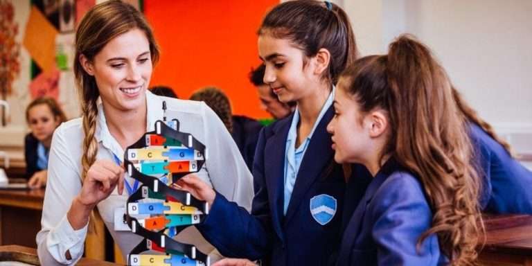 STEM Teacher