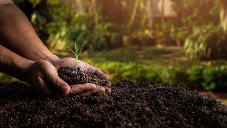 Soil Week Australia Competition