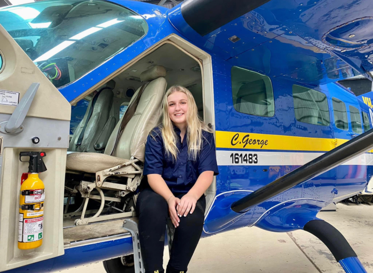 Aviation engineer