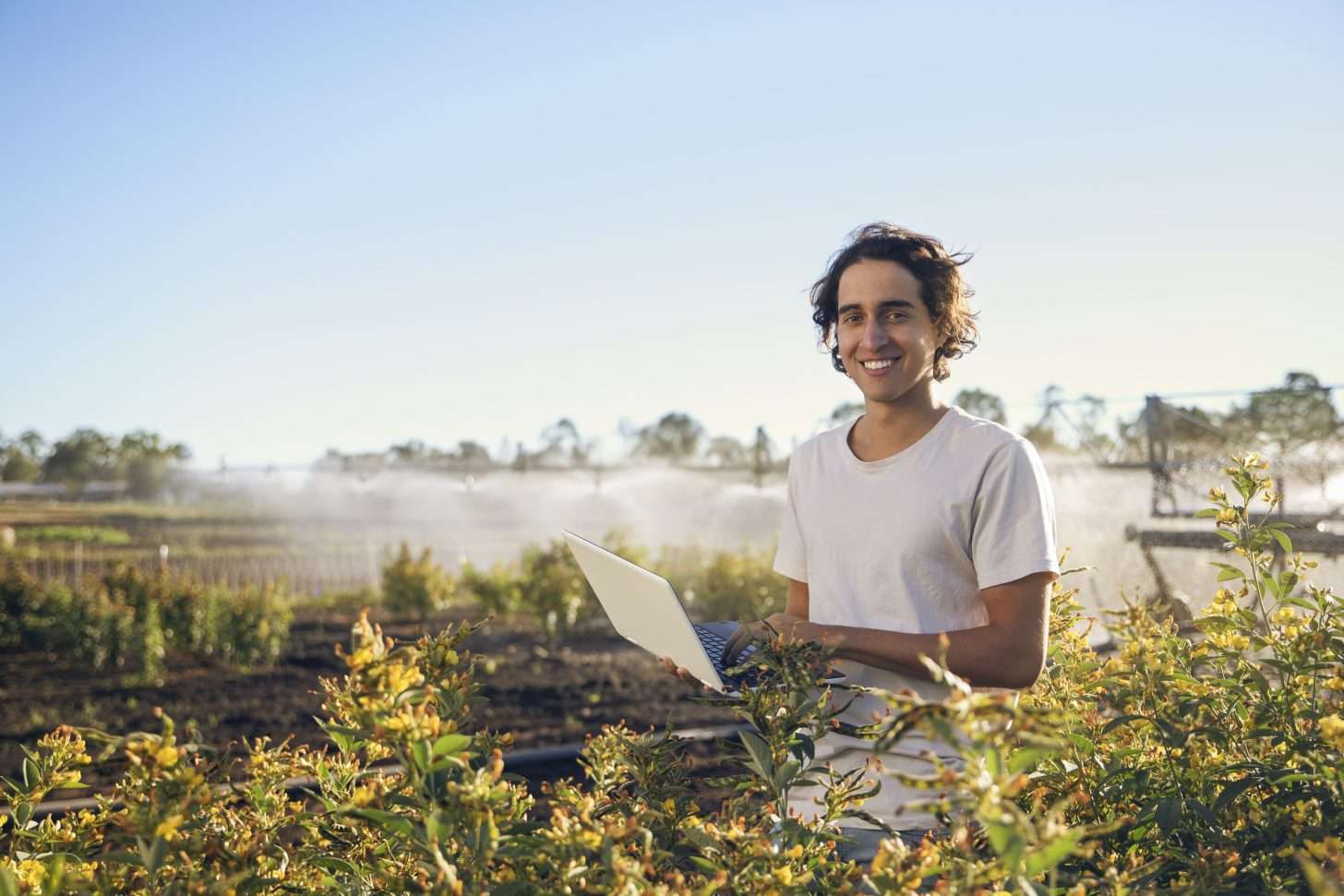 Person with a laptop in a field