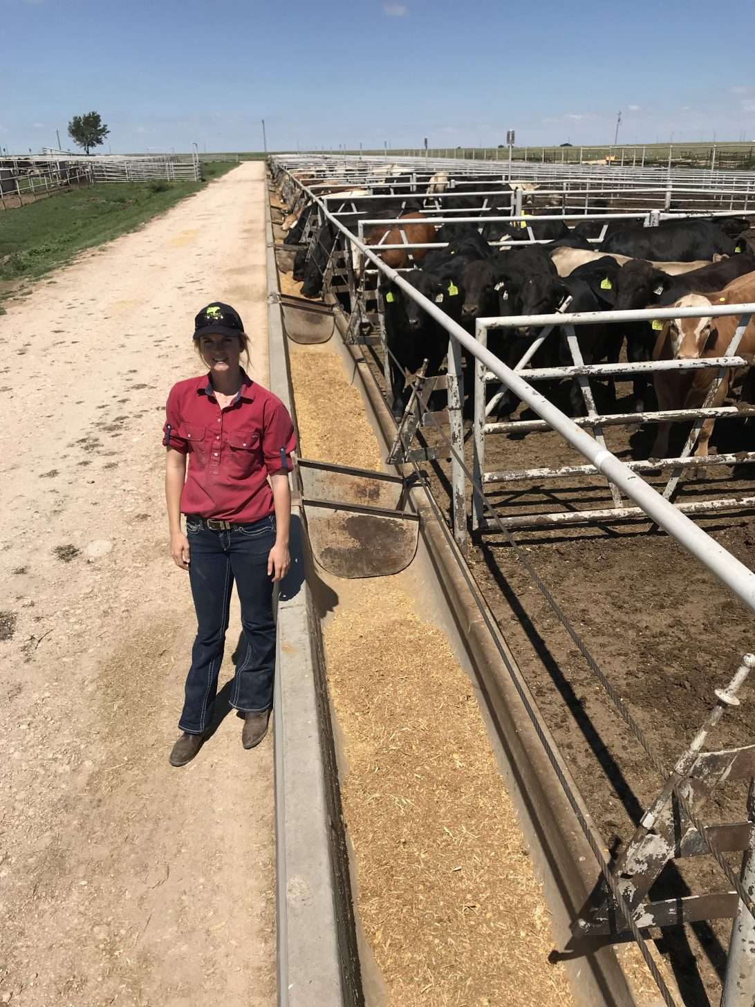 Woman at a farm standing next to cows
