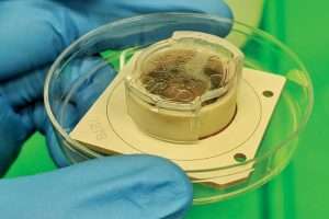A petri dish with a device on it. There are some brown lumps inside the device
