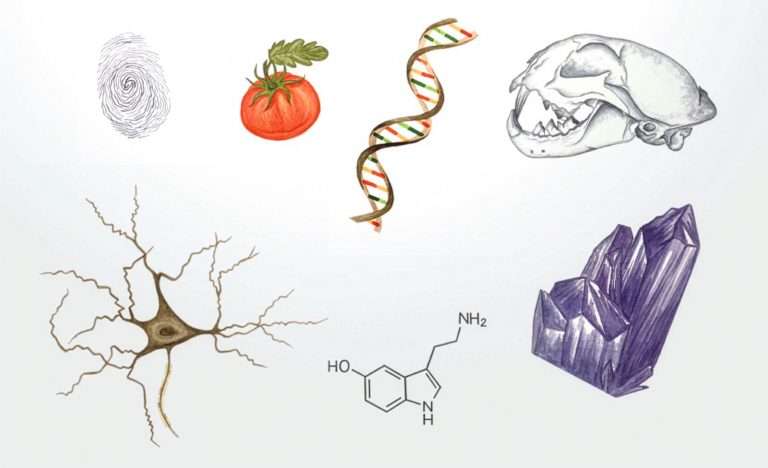 Brain cell, fingerprint and other science icons