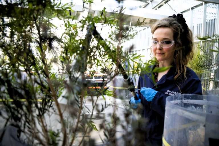 Woman in gloves and safety glasses in trees