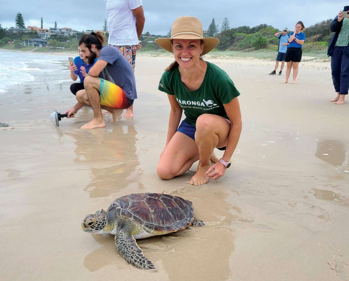 Woman wearing broadbrimmed hat and Taronga t-shirt, with a turtle in front of her