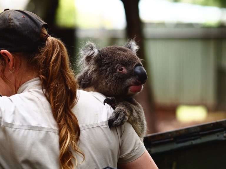 Zoologist