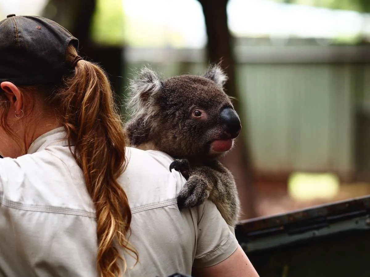 Zoologist