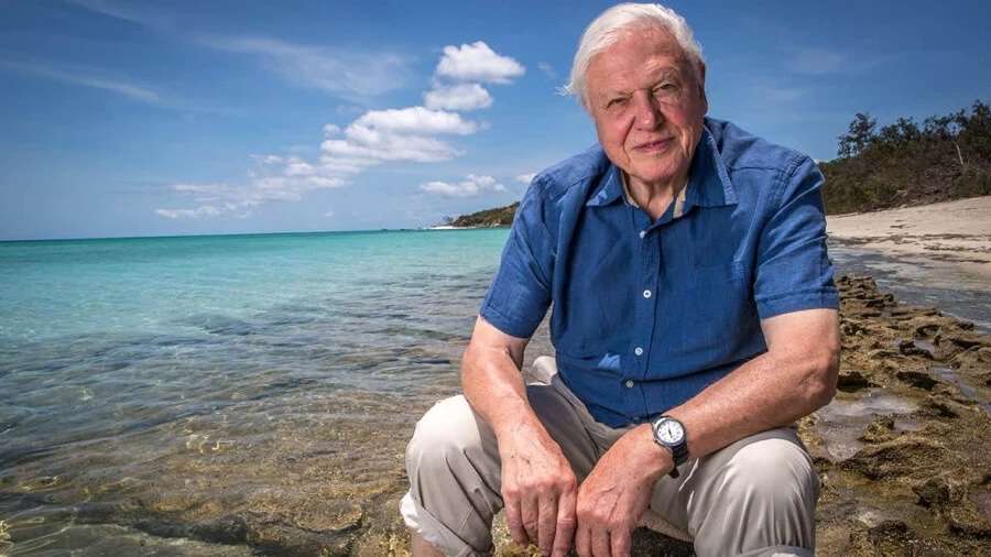 White haired man in blue shirt on a beach