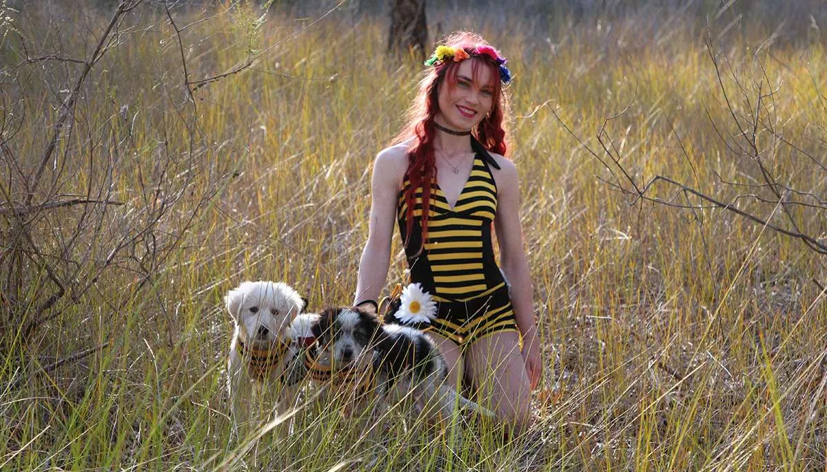 Woman in bee outfit with two dogs
