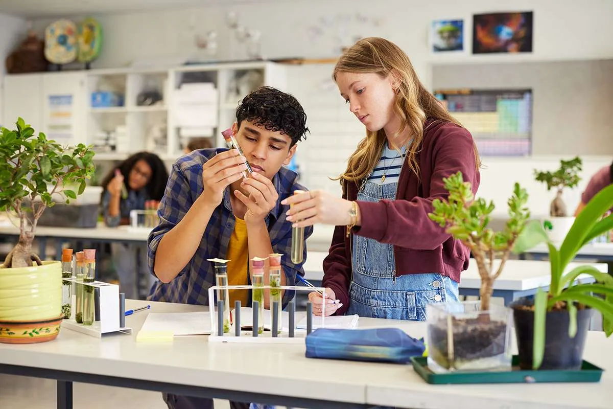 Multiethnic students collaborating on science experiment using test tubes and plant samples. Teenagers conducting a classroom biology activity with focus on natural specimens. Guy and girl analyzing botanical material during class in science lab.